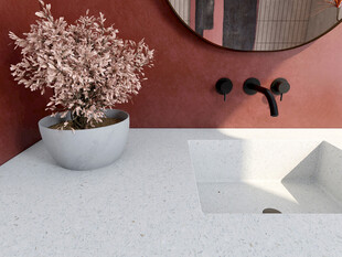 浴室台面上的盆栽装饰