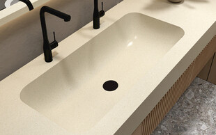 简约双孔洗手盆设计