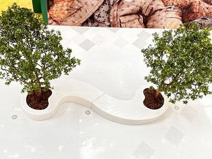 白色花架上的两盆绿植