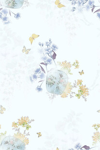 扇子手绘花蝴蝶中国风