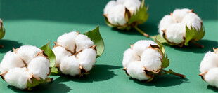 棉花