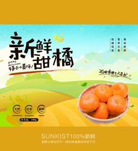 沙糖桔包装