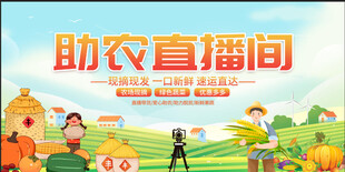 助农直播间