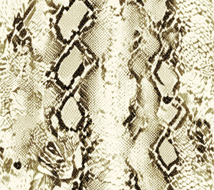 蛇皮纹理图案