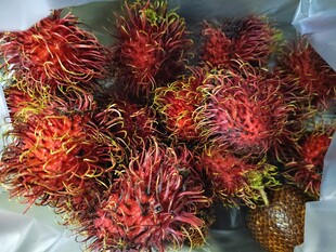 红毛丹水果特写
