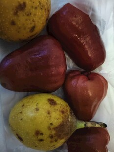 莲雾果实特写