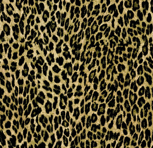 豹纹图案布料纹理