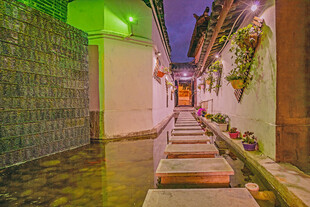 古巷夜景 石板路旁绿植点缀