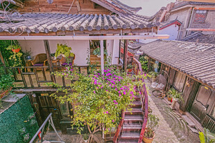 古雅庭院绿植环绕景致美