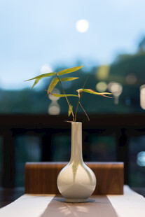 素雅白瓶插绿植赏心