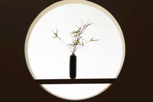 中式禅意花瓶插花静物