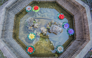 中式庭院水池花卉景观