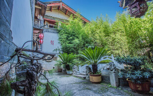 庭院绿植环绕的闲适角落