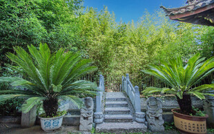 中式庭院绿植与石阶景观