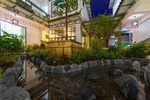 庭院夜景中的绿植景观