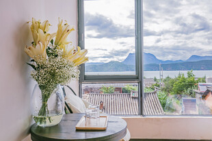 窗边花瓶与美丽景致