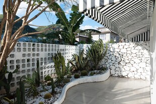 庭院角落绿植景观