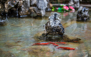 水中岩石与红色物体景观