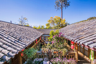 古雅庭院 花木掩映瓦屋间