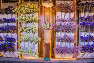 梦幻花店花卉展示