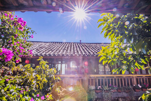 阳光洒落古雅庭院美景