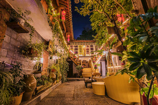 浪漫绿植环绕的温馨小巷