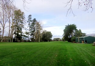 高尔夫球场风景