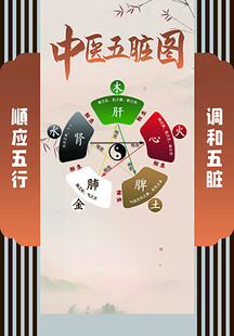 中医五脏图