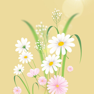 清新花朵插画