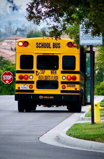 黄色校车停在路边