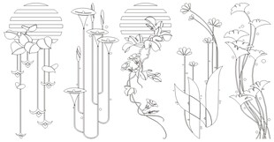 植物线条结构图示例