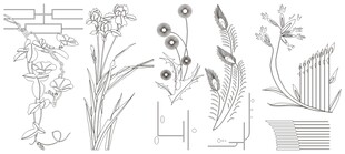 手绘植物花卉线稿图