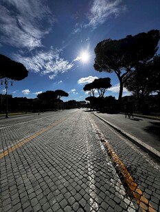 阳光照耀下的砖石道路