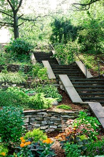 山间石阶旁的繁茂绿植