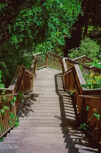 林间木质步道 自然之美