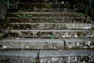 长满青苔的古老石阶