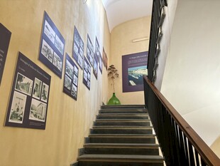 楼梯墙面上的艺术照片展示