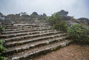 山间石阶 绿植相伴