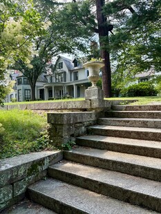 林间石阶通向雅致住宅