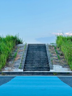泳池边的阶梯与葱郁绿植