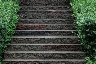 石砌小径穿梭于绿植间