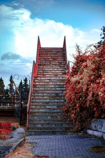 秋日红叶中的古朴石阶