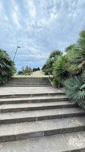 户外石阶与绿植景观