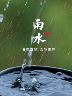 雨水海报 