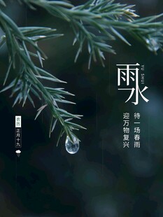 雨水海报