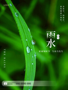 雨水海报 