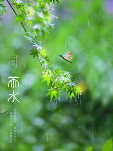 雨水海报