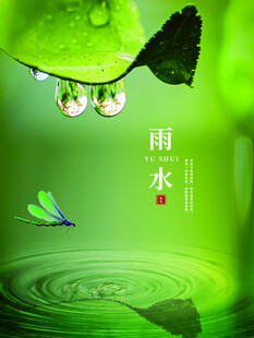 雨水海报 