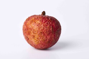 鲜红饱满的单颗荔枝