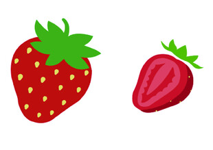 两颗可爱草莓水果插画  矢量图